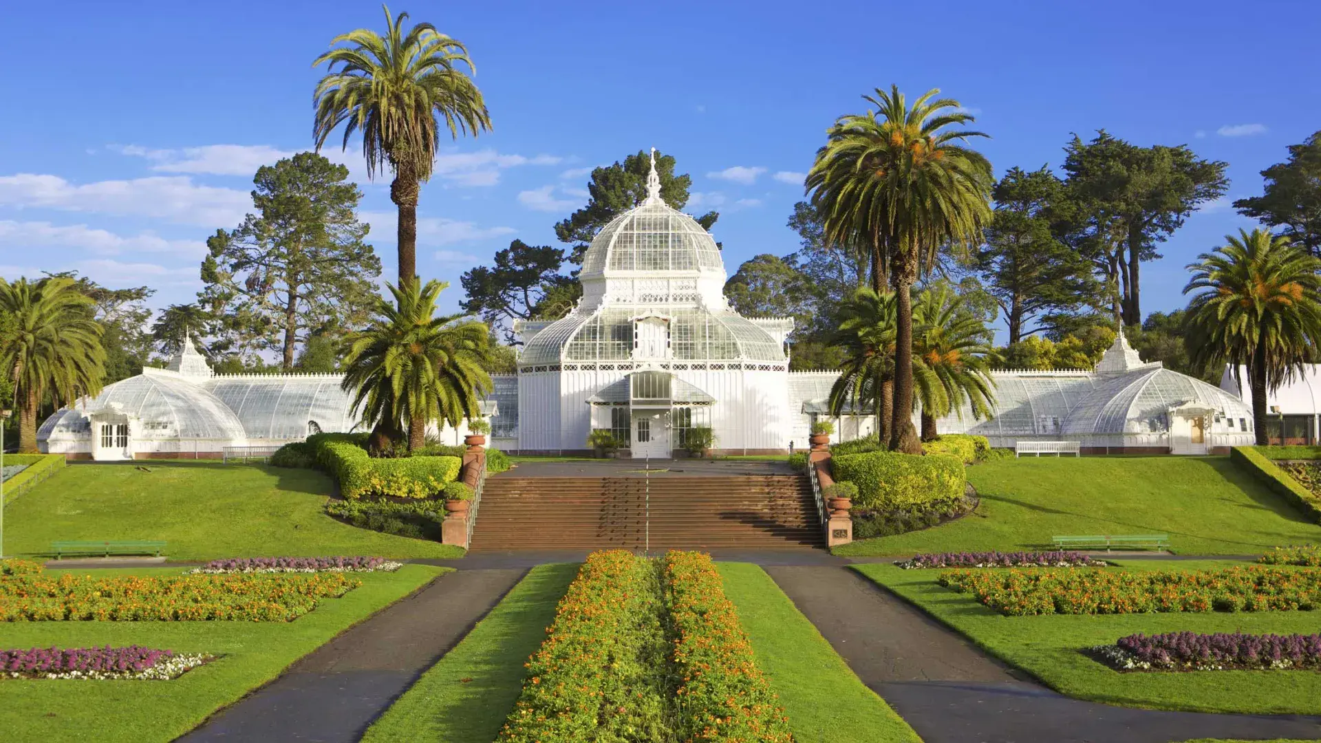 Khalid in Golden Gate Park Promo Code [DISCO] – 10% Off - Discotech ...